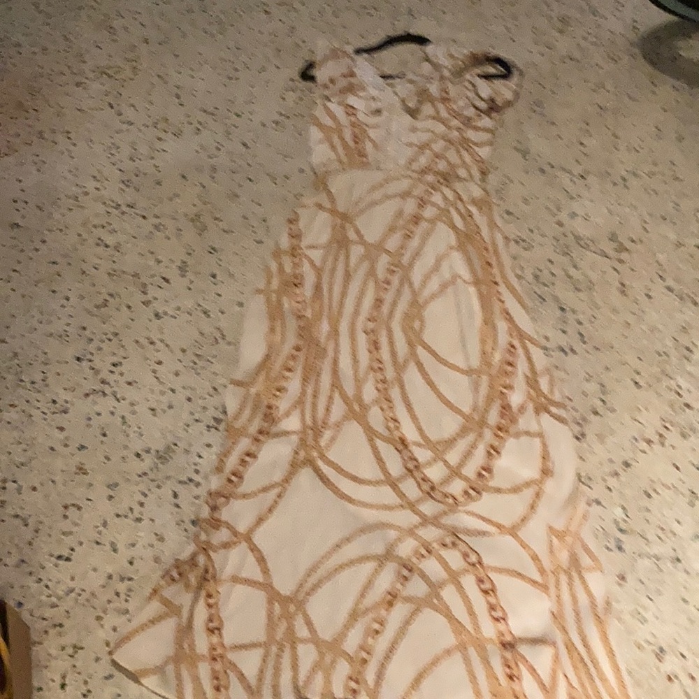 Silk lunacies dress